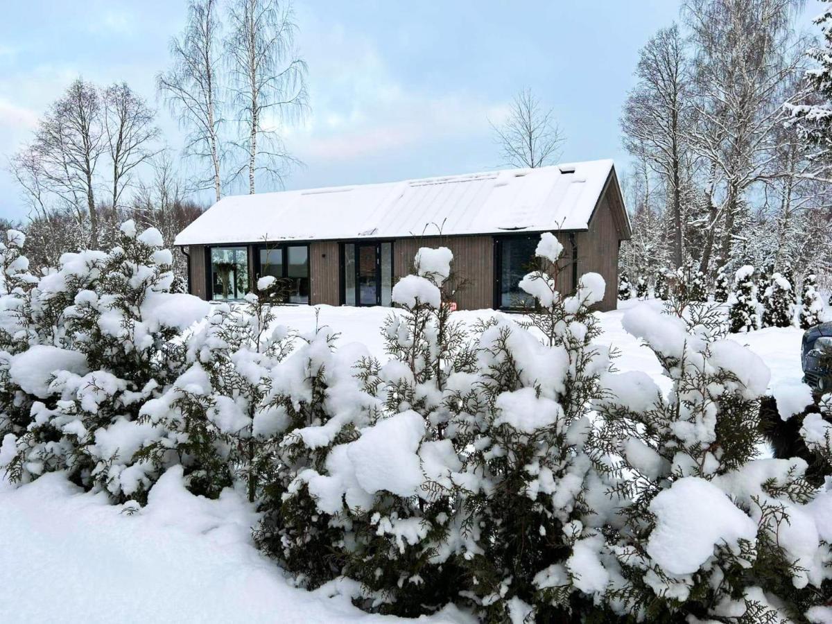 Paerli Puhkemaja / Pearl Riverside House Pudisoo Exteriér fotografie